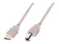 ASSMANN - Kabel USB - USB (M) do USB Typ B (M) - USB 2.0 - 1.8 m - odlewany - beżowy