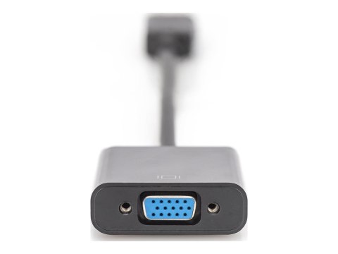 ASSMANN - Przejściówka DisplayPort - DisplayPort 20-pin (M) do HD-15 (VGA) (F) - 15 cm - odlewany - czarny