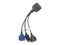 HPE - Zestaw kabli wideo / USB / szeregowy - złącze 36 pin SUV (M) do USB, DB-9, HD-15 (VGA) - dla ProLiant SL230s Gen8, SL250s 