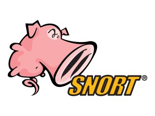 Cisco SNORT Subscriber Rule Set - Licencja na subskrypcję (1 rok) - ESD