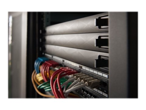 DIGITUS Professional - Panel zaślepiający do szafy rack - czarny - 1U - 19"