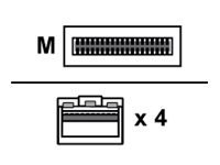 HPE - Kabel sieciowy - SFP+ do QSFP+ - 15 m - światłowód - aktywny - dla Apollo 4200, 4200 Gen10; CX 8360-12C V2, 8360-16Y2C V2