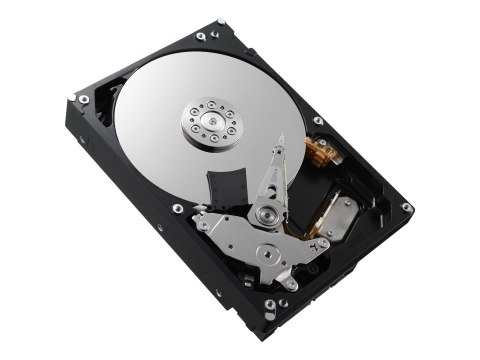 Toshiba P300 - Dysk twardy - 1 TB - wewnętrzny - 3,5" - SATA 6Gb/s - 7200 obr/min - bufor: 64 MB