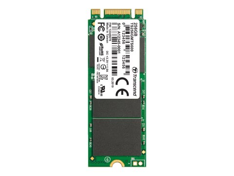 Transcend MTS600 - SSD - 256 GB - wewnętrzny - M.2 2260 - SATA 6Gb/s