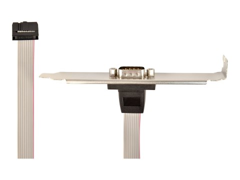 Cablexpert - Panel szeregowy - DB-9 (M) do 10 pin IDC (M) - 25 cm
