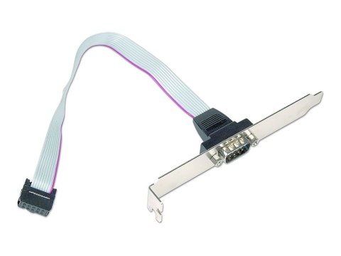 Cablexpert - Panel szeregowy - DB-9 (M) do 10 pin IDC (M) - 25 cm