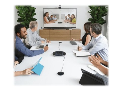 Logitech GROUP Expansion Microphones Only - Zestaw mikrofonów