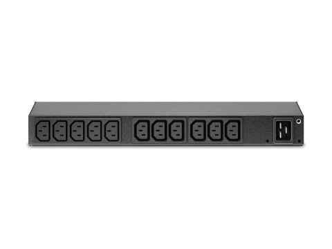 APC Basic Rack PDU AP6020A - Jednostka dystrybucji zasilania (montowany w stojaku) - AC 100-240 V - wejście: IEC 60320 C20 - złą