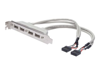 ASSMANN - Panel USB - 10 pin IDC (F) do USB (F) - 25 cm - odlewany - beżowy