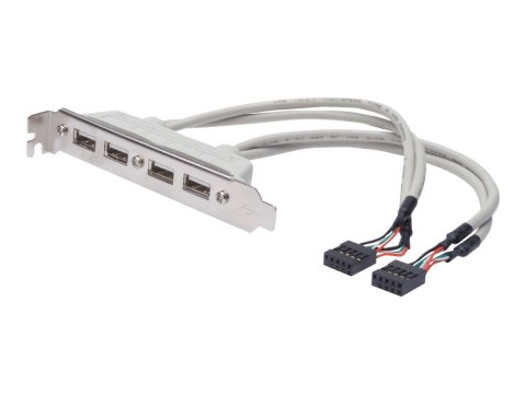 ASSMANN - Panel USB - 10 pin IDC (F) do USB (F) - 25 cm - odlewany - beżowy