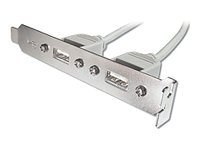 ASSMANN - Panel USB - wejście liniowe 5-pin (F) do USB (F) - 25 cm - beżowy