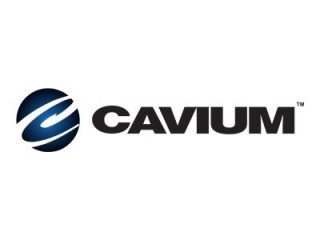 Cavium FastLinQ QL41134HLCU - Adapter sieciowy niski profil - 10 Gigabit SFP+ x 2 - dla PRIMERGY RX2520 M5, RX2530 M4, RX2530 M5