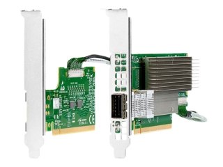 HPE InfiniBand HDR Auxiliary Card - Procesor sterujący - PCIe 3.0 x16 - dla Nimble Storage dHCI Large Solution with HPE ProLiant