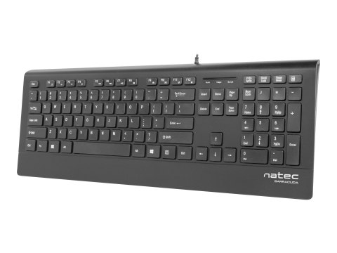 Natec Barracuda - Klawiatura - USB - US - czarny