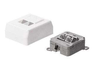 Netrack Complete - Gniazdo-wyjście - RJ 45 - 2 gniazda sieciowe - biały