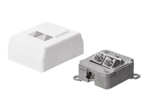 Netrack Complete - Gniazdo-wyjście - RJ 45 - 2 gniazda sieciowe - biały