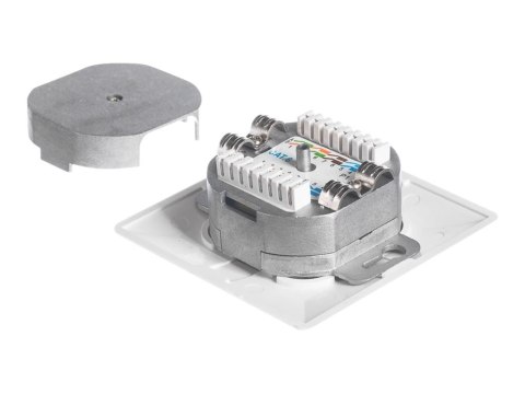 Netrack Complete - Gniazdo-wyjście - RJ 45 - 2 gniazda sieciowe - biały