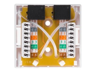 Netrack - Gniazdko - do montażu na ścianie, do montażu na powierzchni - CAT 6 - UTP - RJ-45 X 2 - biały