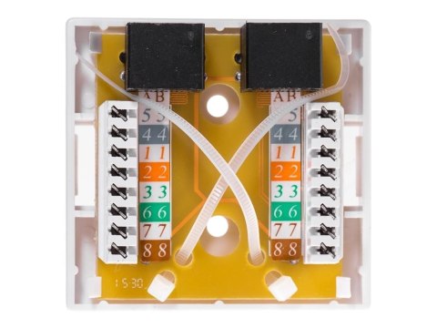 Netrack - Gniazdko - do montażu na ścianie, do montażu na powierzchni - CAT 6 - UTP - RJ-45 X 2 - biały