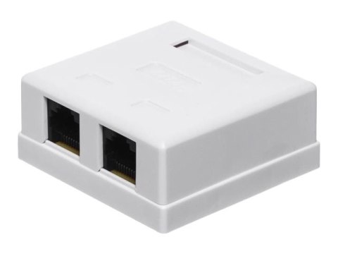 Netrack - Gniazdko - do montażu na ścianie, do montażu na powierzchni - CAT 6 - UTP - RJ-45 X 2 - biały