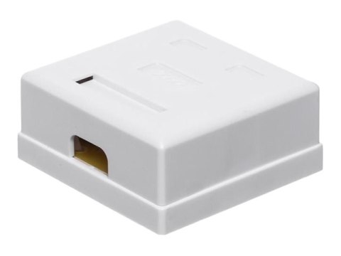 Netrack - Gniazdko - do montażu na ścianie, do montażu na powierzchni - CAT 6 - UTP - RJ-45 X 2 - biały