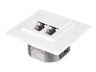Netrack - Gniazdko montowane w płaszczyźnie - do montażu w ścianie - CAT 5e - STP - RJ-45 X 2