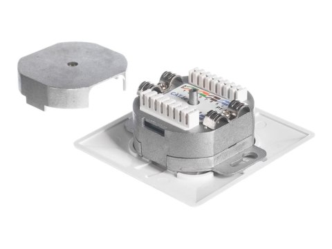 Netrack - Gniazdko montowane w płaszczyźnie - do montażu w ścianie - CAT 5e - STP - RJ-45 X 2