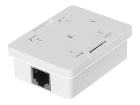 Netrack - Gniazdo-wyjście - RJ 45 - 1 gniazdo sieciowe - biały