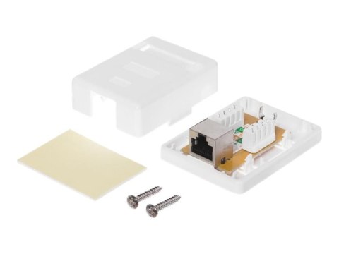 Netrack - Gniazdo-wyjście - RJ 45 - 1 gniazdo sieciowe - biały