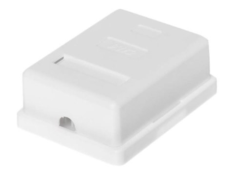 Netrack - Gniazdo-wyjście - RJ 45 - 1 gniazdo sieciowe - biały