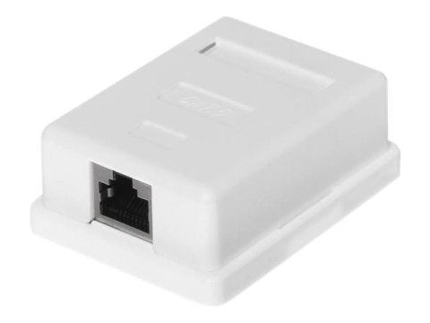Netrack - Gniazdo-wyjście - RJ 45 - 1 gniazdo sieciowe - biały