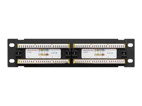 Netrack - Krosownica - do montażu na ścianie - CAT 6 - UTP - RJ-45 X 12 - czarny - 10"