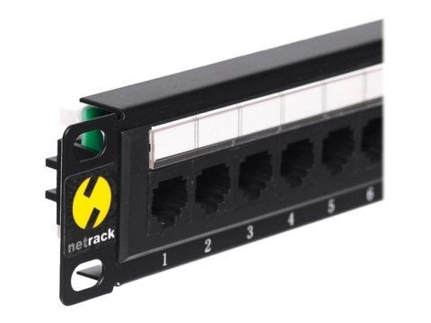 Netrack - Krosownica - do montażu na stelażu - CAT 5e - UTP - RJ-45 X 12 - 10"