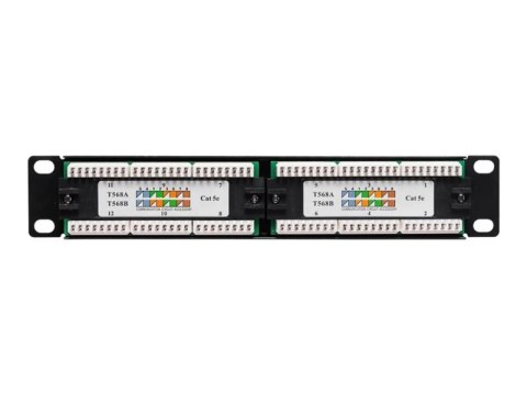 Netrack - Krosownica - do montażu na stelażu - CAT 5e - UTP - RJ-45 X 12 - 10"