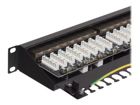 Netrack - Krosownica - do montażu na stelażu - CAT 6a - FTP - RJ-45 X 24 - czarny - 19"