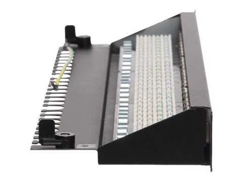 Netrack - Krosownica - do montażu na stelażu - CAT 6a - FTP - RJ-45 X 24 - czarny - 19"