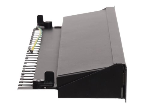 Netrack - Krosownica - do montażu na stelażu - CAT 6a - FTP - RJ-45 X 24 - czarny - 19"