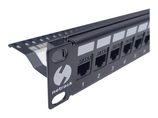 Netrack - Krosownica - do montażu na stelażu - UTP - RJ-45 X 24 - czarny - 19"