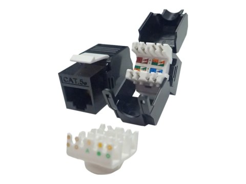 Netrack - Wkładka modułowa - CAT 5e - UTP - RJ-45 - czarny