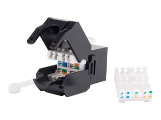 Netrack - Wkładka modułowa - CAT 6 - UTP - RJ-45 - czarny