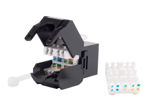 Netrack - Wkładka modułowa - CAT 6 - UTP - RJ-45 - czarny