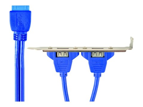 Cablexpert - Panel USB - główka 20 pin HUB 3.0 (F) do USB Typ A (F) - 45 cm