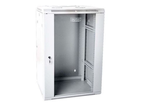 DIGITUS Professional DN-WD19 15U/600 - Szafa - do montażu na ścianie - RAL 7035, szary - 15U - 19"