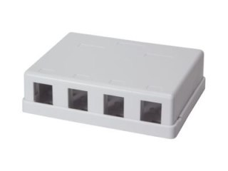 LogiLink - Gniazdko informatyczne - UTP - biały - liczba portów — 4