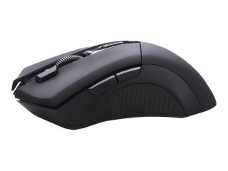 Tracer Silencio - Mysz - optyczna - 7 przyciski - bezprzewodowa - 2.4 GHz - odbiornik bezprzewodowy USB - czarny