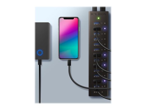 ICY BOX IB-AC6113 - Koncentrator - 13 x SuperSpeed USB 3.0 - stacjonarny