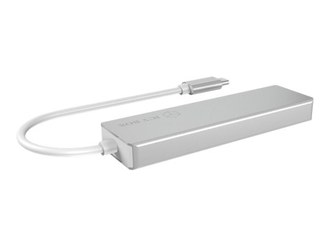 ICY BOX IB-HUB1413-CR - Stacja dokująca - USB-C