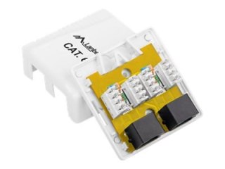 Lanberg OU6-0002-W - Gniazdko informatyczne - CAT 6 - RJ-45 X 2 - biały
