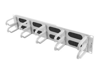 Lanberg Type B - Panel do porządkowania kabli w szafie typu rack ze szczotką - RAL 7035 - 2U - 19"
