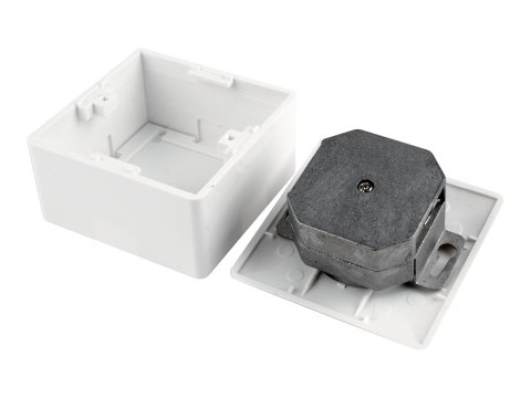 Cablexpert MWS-2S6-01 - Gniazdo-wyjście - RJ 45 - 2 gniazda sieciowe - biały